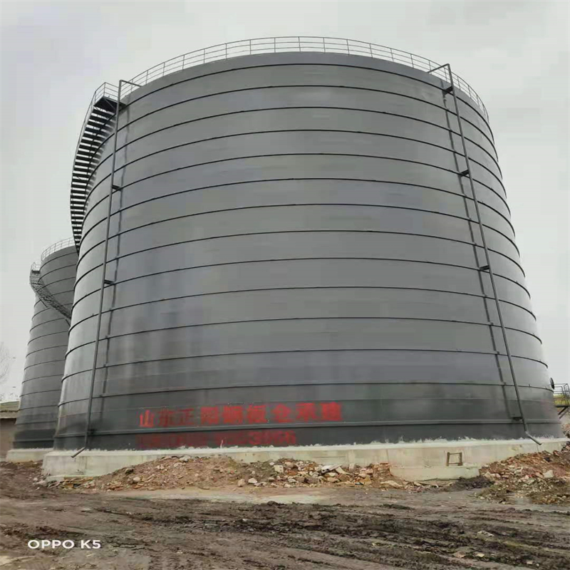 武隆3万吨大型钢板库