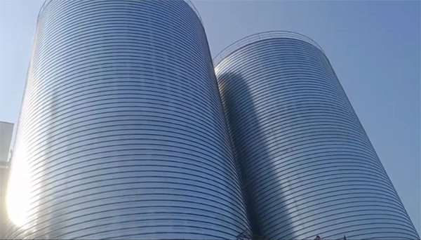 武隆2座混凝土高架卷板仓